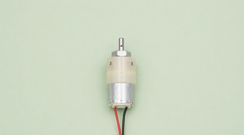 1200 RPM Centre Shaft DC White Gearbox Motor
